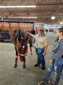 WRF 2025 Meadowlands--2